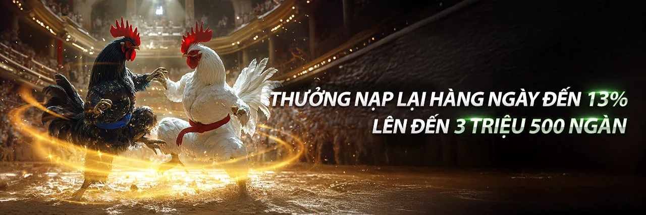 Đá Gà 67 - Sân Chơi Trực Tuyến Hàng Đầu